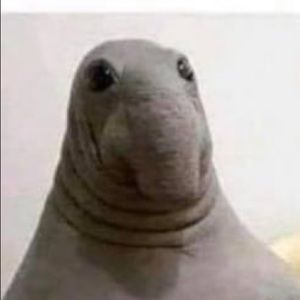 Meet your Posher, Cole